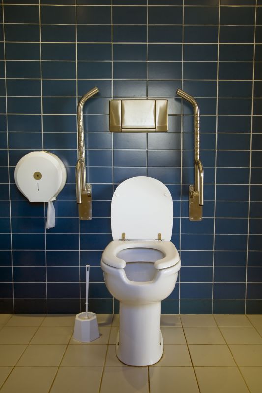 Accessible Toilet Installation
